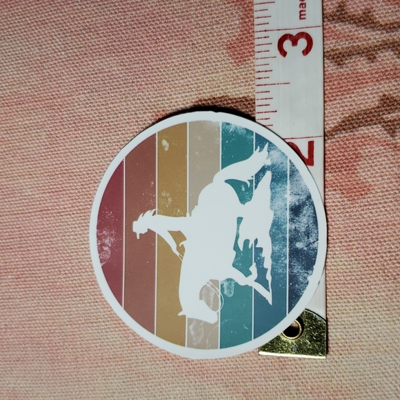 (N) Cowgirl Sticker Pegantinas Vaqueras Rodeo Farmhouse Decor Horse Ranch - Picture 2 of 3